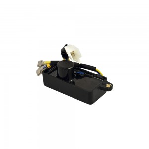AVR GEN 1200-2500-3200 250V 220UF