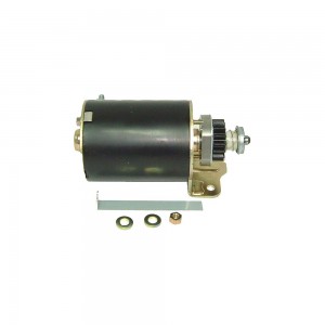 Motor arranque Briggs