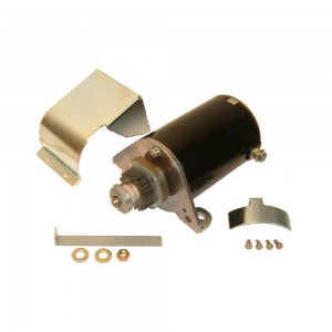 Motor arranque Briggs
