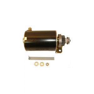 Motor arranque Briggs