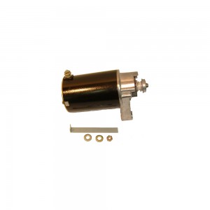 Motor arranque Briggs