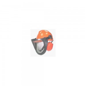 Casco de seguridad, DELUX, protector audio, pantalla de malla y gafas