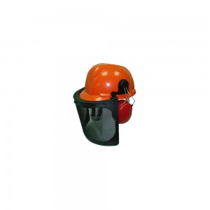 Casco de seguridad, protector audio, pantalla de malla y gafas